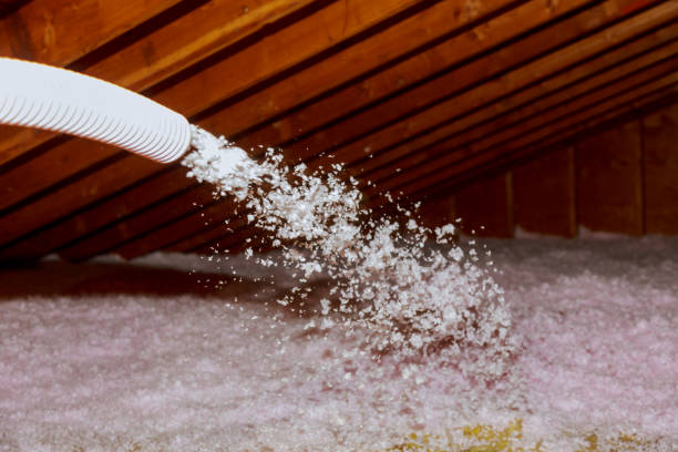 Best Eco-Friendly Insulation in Clinton, NC