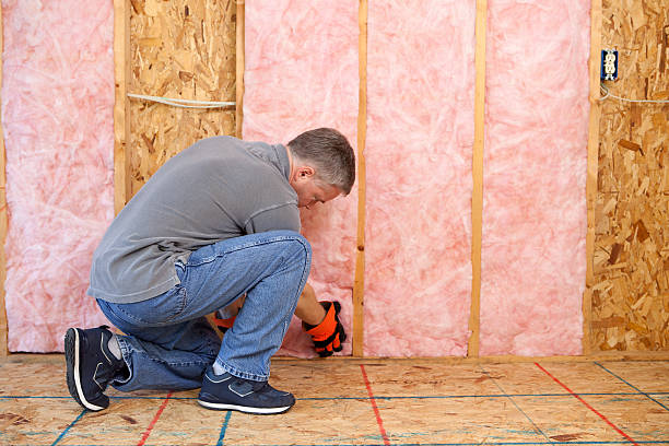 Best Cellulose Insulation in Clinton, NC