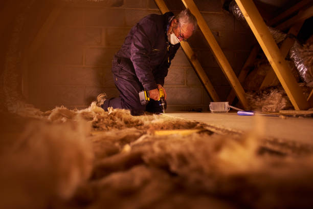 Best Geographic-Specific Insulation Services in Clinton, NC